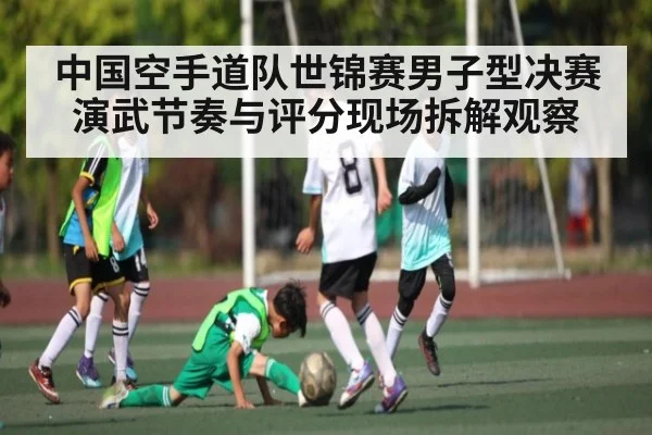 中国空手道队世锦赛男子型决赛演武节奏与评分现场拆解观察